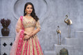 ELEGANT CHIKU ORGANZA SILK LEHENGA CHOLI WITH TRADITIONAL PAISLEY MOTIFS & SOFT NET DUPATTA
